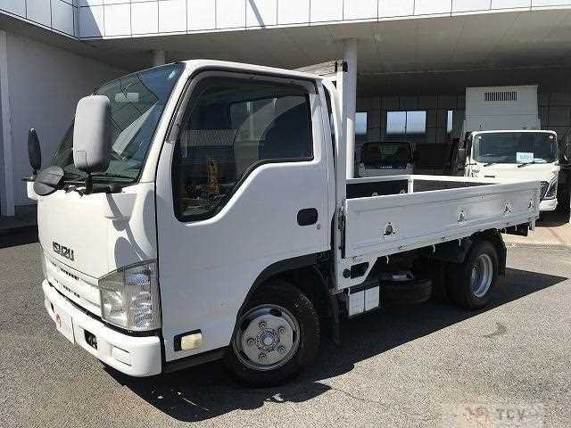 2013 Isuzu Elf Truck