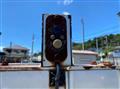 2017 Isuzu Elf Truck