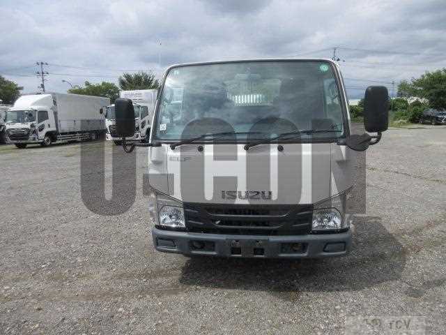 2019 Isuzu Elf Truck