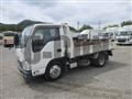 2019 Isuzu Elf Truck