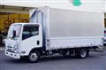 2019 Isuzu Elf Truck