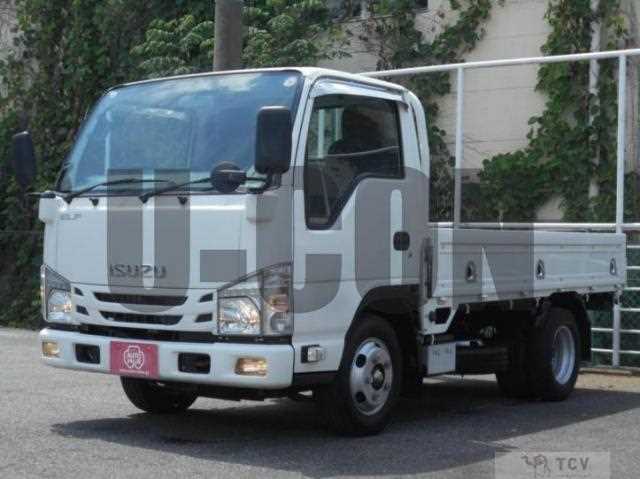 2018 Isuzu Elf Truck