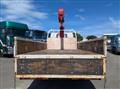 2019 Isuzu Elf Truck