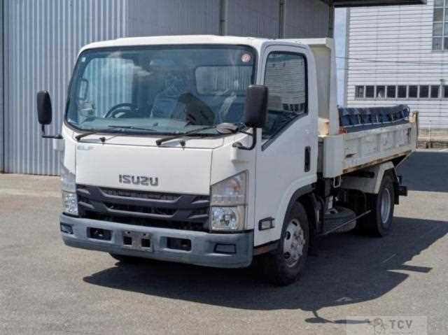 2020 Isuzu Elf Truck