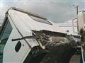 2016 Isuzu Elf Truck