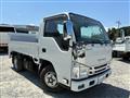 2018 Isuzu Elf Truck