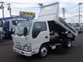 2019 Isuzu Elf Truck