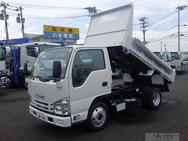 2019 Isuzu Elf Truck