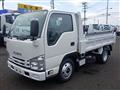 2019 Isuzu Elf Truck