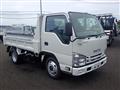 2019 Isuzu Elf Truck