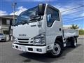 2021 Isuzu Elf Truck
