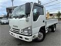 2020 Isuzu Elf Truck