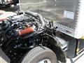 2023 Isuzu Elf Truck
