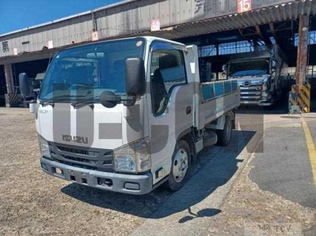2019 Isuzu Elf Truck
