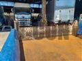 2019 Isuzu Elf Truck