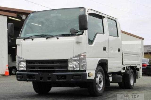 2010 Isuzu Elf Truck