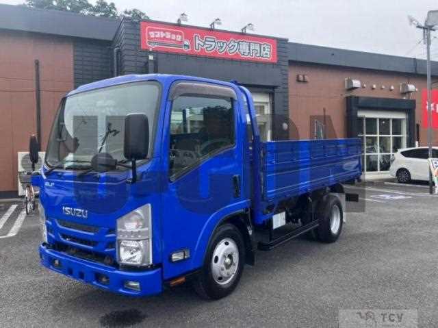 2017 Isuzu Elf Truck