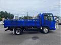 2017 Isuzu Elf Truck
