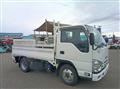 2020 Isuzu Elf Truck