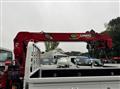 2019 Isuzu Elf Truck
