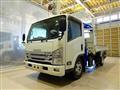 2020 Isuzu Elf Truck