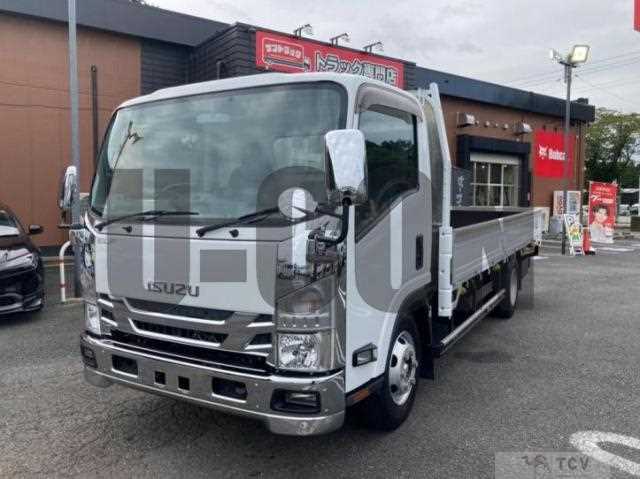 2019 Isuzu Elf Truck