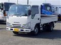 2021 Isuzu Elf Truck