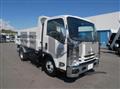 2020 Isuzu Elf Truck