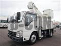 2020 Isuzu Elf Truck