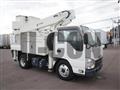 2020 Isuzu Elf Truck