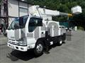 2009 Isuzu Elf Truck