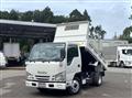 2019 Isuzu Elf Truck