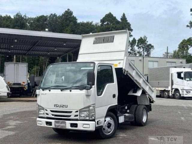 2019 Isuzu Elf Truck