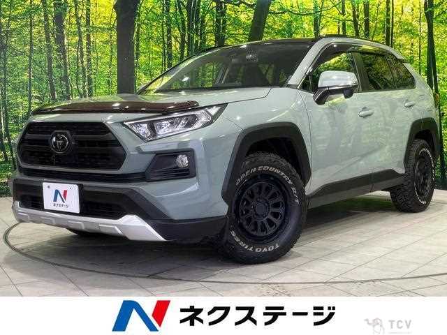 2019 Toyota RAV4