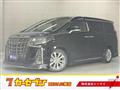 2020 Toyota Alphard G
