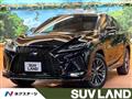 2020 Lexus RX