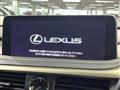2020 Lexus RX