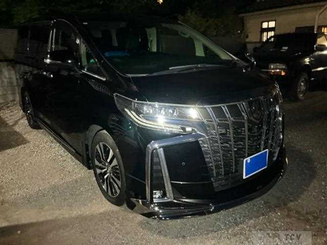2019 Toyota Alphard G