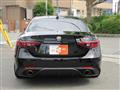 2019 Alfa Romeo Alfa Romeo Others