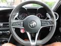 2019 Alfa Romeo Alfa Romeo Others