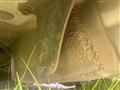 2001 Toyota Brevis