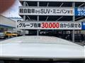 2010 Toyota Alphard G