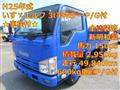 2013 Isuzu Elf Truck