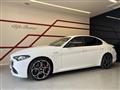 2024 Alfa Romeo Alfa Romeo Others