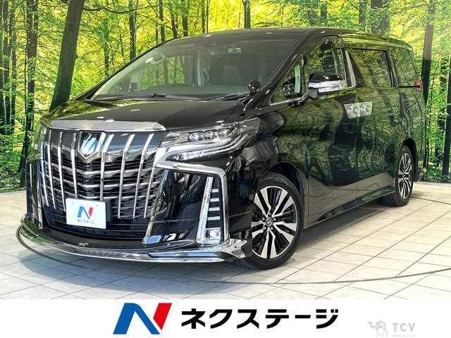 2019 Toyota Alphard G
