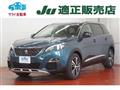 2018 Peugeot Peugoet Others