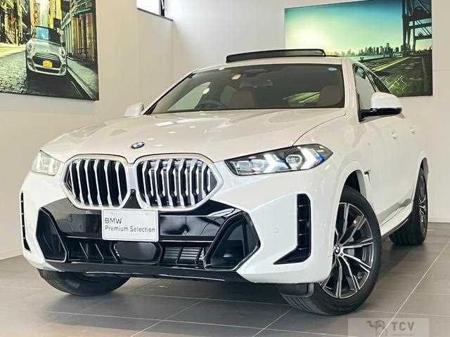 2026 BMW X6