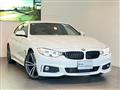 2015 BMW BMW Others