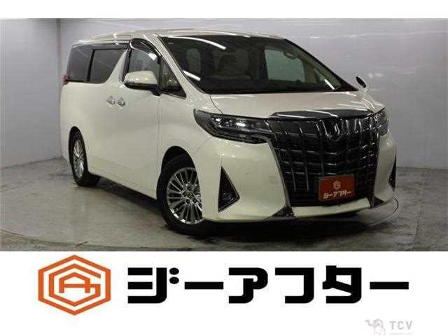 2019 Toyota Alphard G