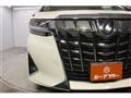 2019 Toyota Alphard G